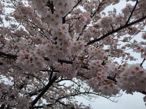 婚活なら三重県ザ・ベストマリアージュ