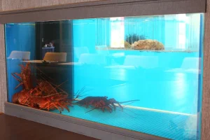 三重県伊勢市の鉄板フレンチLa Table d'aki（ラ ターブル ダキ）のメニューに使用するイセエビ