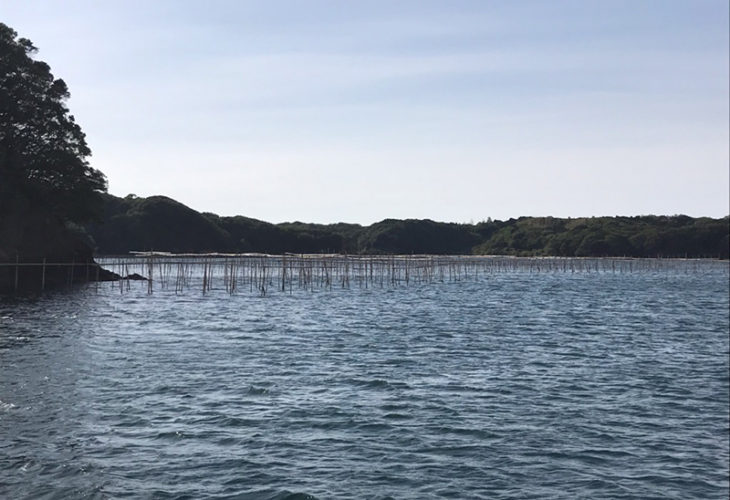 三重県志摩市～英虞（あご）湾へ釣りに行ってきました！