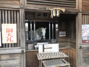 多度大社の御神馬