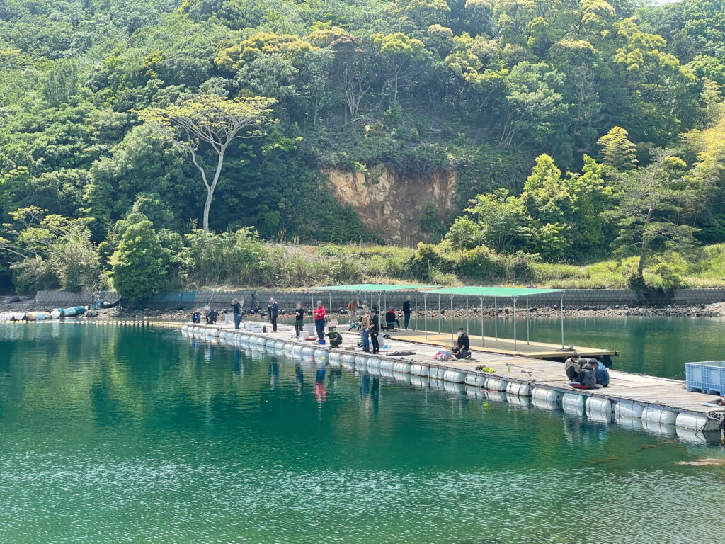 南伊勢町の魚釣り公園「佐助屋」