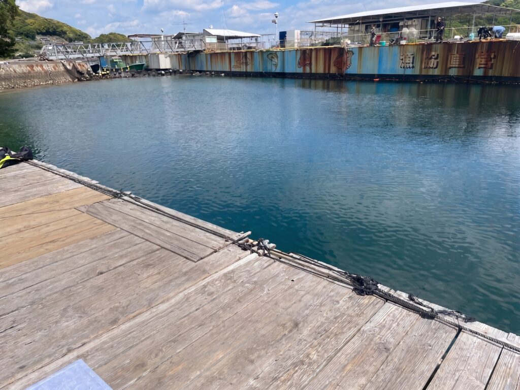 南伊勢町の魚釣り公園「佐助屋」の釣り堀