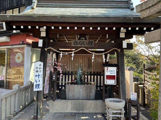 【兵庫】神戸北野天満神社の「叶い鯉」2