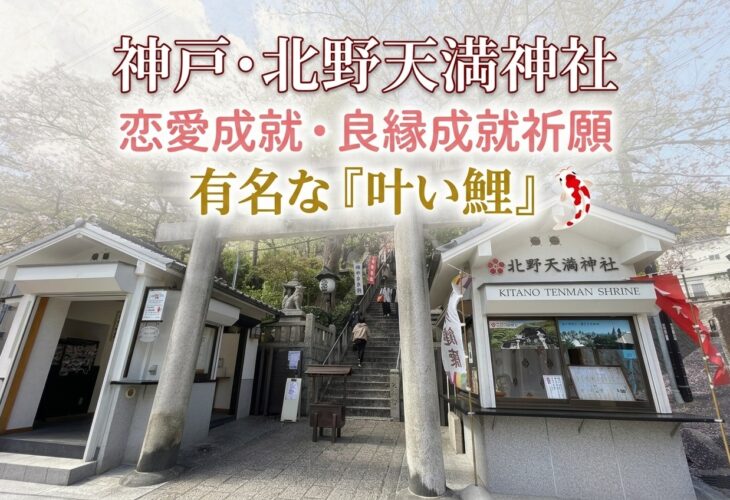 神戸市の北野天満神社は恋愛成就・良縁成就祈願の「叶い鯉」が有名⛩️✨