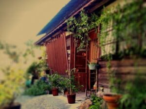 松阪市の月灯りの屋根 第2章