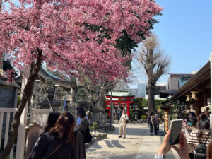 九州で有名な「櫛田神社・夫婦恵比須神社」の境内➀