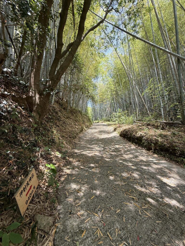 ➀三重県鳥羽市の縁結びの神様「伊射波神社」への竹林の小径
