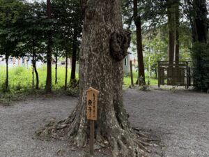 春日大社の鹿にゆかりの鹿子（カゴ）