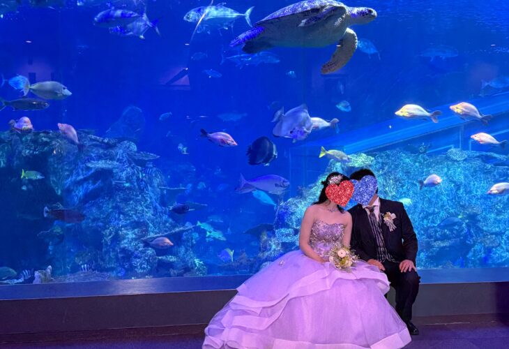 鳥羽水族館フォト撮影♡に行ってきました！！