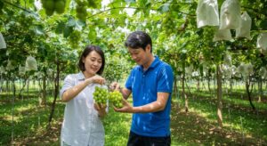 三重県でシャインマスカット・ぶどう狩りの食べ放題デート