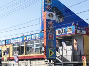 三重県四日市市の猫カフェ 空陸家 四日市店