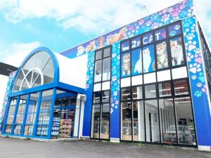 三重県津市の猫カフェ 空陸家 津高茶屋店