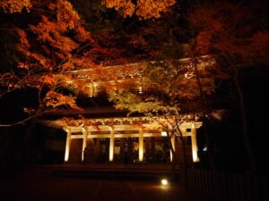 夜間ライトアップ「永源寺もみじまつり」