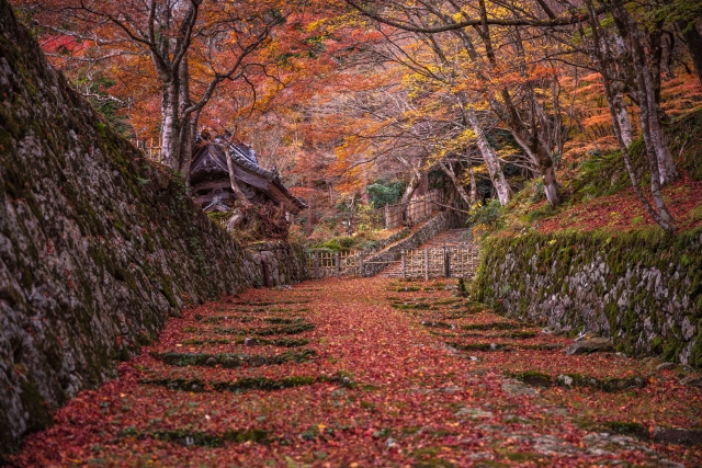 滋賀県 百済寺 紅葉