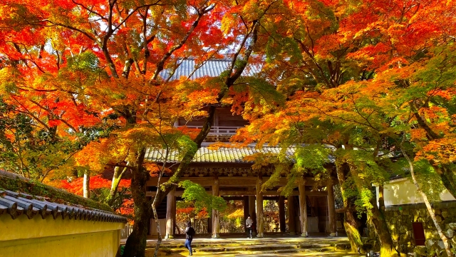 滋賀県の日帰り紅葉デートスポット永源寺