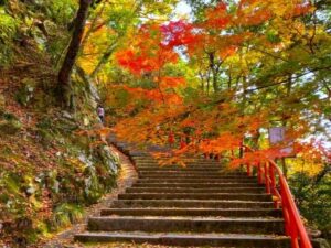 滋賀県東近江市・永源寺」参道の秋の紅葉2