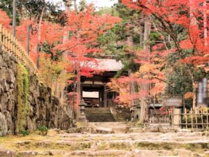 秋の湖東三山 西明寺
