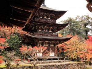 秋の湖東三山 西明寺2