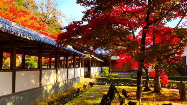 紅葉の永源寺