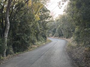 西山慕情ケ丘へ向かう際の狭い山道