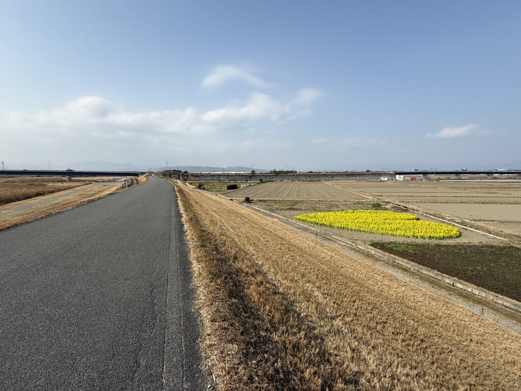 河川敷の道路から見たハート型「菜の花畑」