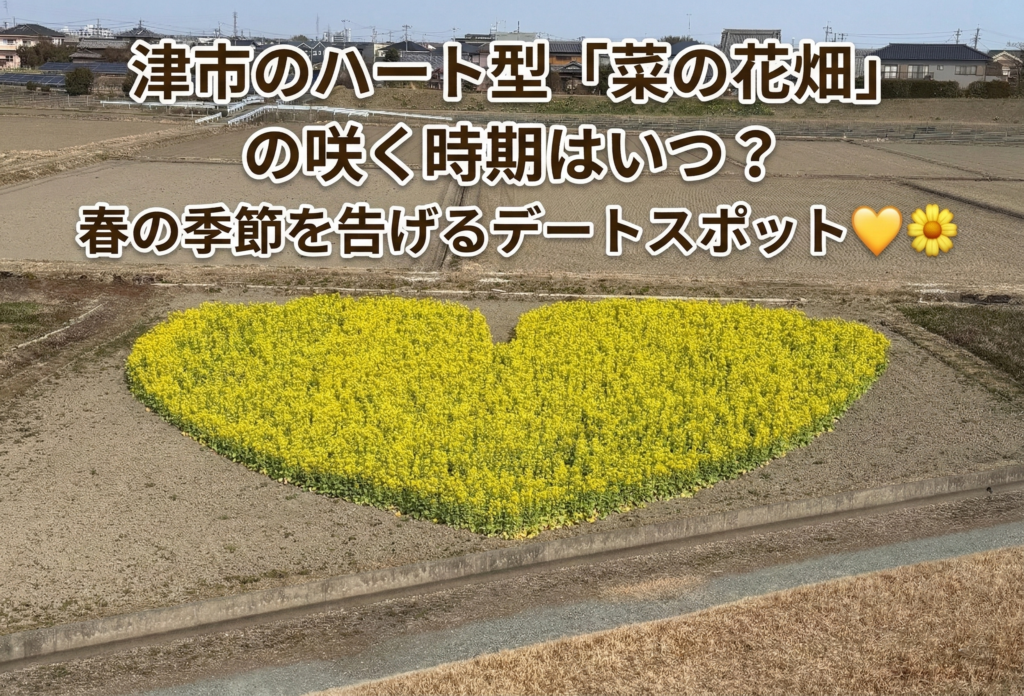 津市のハート型「菜の花畑」の咲く時期はいつ？春の季節を告げるデートスポット💛🌼