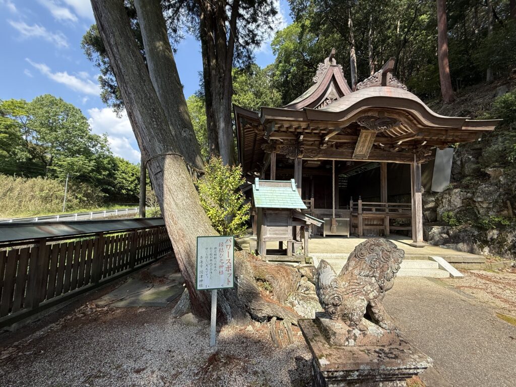 名張市の国津神社の縁結びの大木