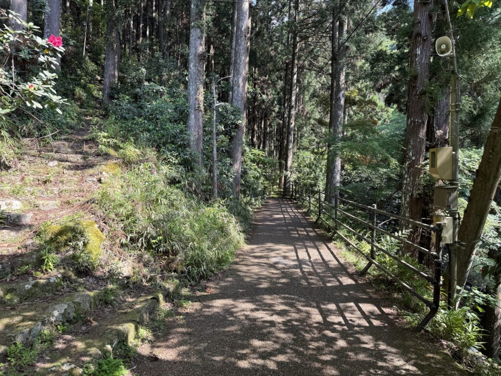 名張市の忍者修行の里 赤目四十八滝の歩道 (2)