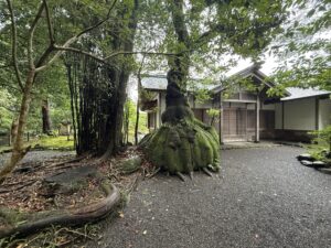 伊勢神宮 内宮・皇大神宮の別宮「伊雑宮」境内4