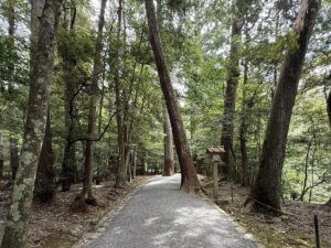 伊勢神宮 内宮・皇大神宮の別宮「瀧原宮」のねじれ杉と大きな杉の木々