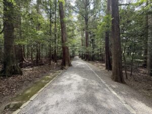 伊勢神宮 内宮・皇大神宮の別宮「瀧原宮」の境内の木々