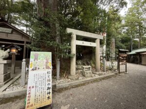 茜社・豊川茜稲荷神社の境内にある縁結びのご利益「杉と楠の御神木」2